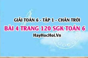 Giải bài 4 trang 120 Toán 6 Tập 1 SGK Chân trời sáng tạo